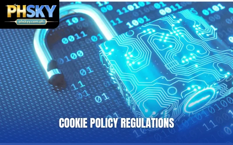 Cookie policy regulations
