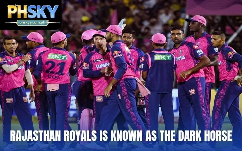 Rajasthan Royals is known as the dark horse