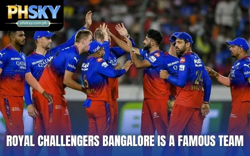 Royal Challengers Bangalore is a famous team