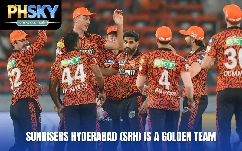 Sunrisers Hyderabad (SRH) is a golden team
